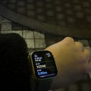 오느른 현 이미지