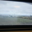 제주 힐링하우스 이미지