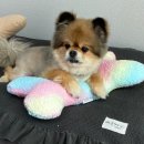 따숩개하우스 이미지