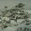 갈멜사슴농원 이미지