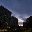 용인한빛중학교 이미지