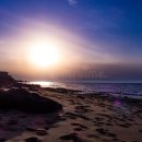 현대적 고전을 찾아서 Ⅳ: 역사를 마주한 문학의 윤리 | 이방인 : 알베르 카뮈 고전소설의 요약 및 고찰