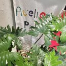 아틀리에 피클(Atelier Pickle)
