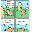 문라이트스튜디오 이미지