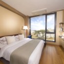 리벤시아 이미지