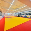 용인대 일산유도 체육관 이미지