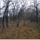 영진3리 이미지