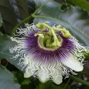 장현3리 이미지