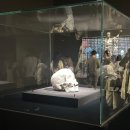 영광통약국 | 데미언 허스트 개인전_국립현대미술관 서울