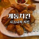 계동1 | 종로 치킨집, 일타쌍피 쿠캔비어와 계동치킨 종로 낙원점