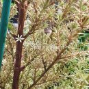 멍청이농장 이미지