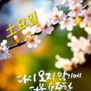 조종생활체육공원 이미지