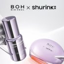 올 어라운드 이미지