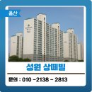 울산 탄성코트 염포성원상떼빌 시공 후기 – 고인목 제거부터 마감까지,이렇게 달라지나?