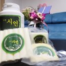 고센시연
