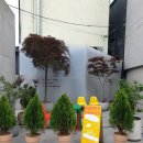 후피케이크 이미지