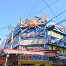 대게하우스 | 기장 대게 대게하우스(기장) 기장 시장 맛집 방문 후기