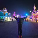 빼꼼낼름 | 에버랜드 100% 즐기는 꿀팁 모음 :: 판다 세컨하우스, 로스트밸리, 나이트사파리