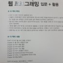 그누위즈