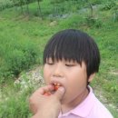 소산농장 이미지