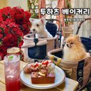 경기도 의정부 실내 애견동반 가능한 포토존 맛집 유럽 감성 대형 카페 “투하츠 베이커리”
