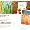 농업회사법인(주)우리농촌살리기공동네트워크