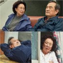 나빌레라