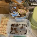 오라상점 이미지