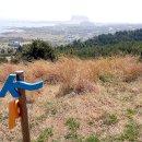 시흥리-7 이미지