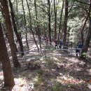 주아목장 이미지