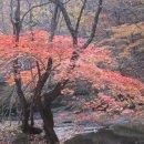 유성장모텔 이미지