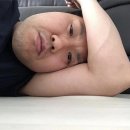 오베르망 이미지