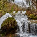 음성행정사사무소 이미지