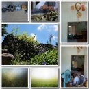 장안할매집 이미지