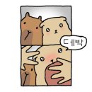 중앙동116 이미지