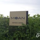 라운지모안