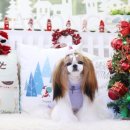 아콩하우스 이미지