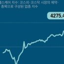 와이에스팜 이미지