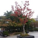 구로리공원 이미지