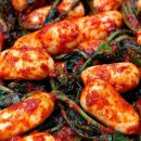 주식회사 아리 이미지