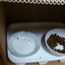 뉴트라코리아 이미지