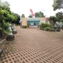 비체올린 | 제주 카약 체험 기대했는데… 비체올린 솔직 후기