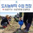 자학농장 | 수성구 희망토 천을산농장 :: 제2기 수성 거꾸로 인생학교 도시농부학 수업 현장 - 대구도시텃밭, 대구...