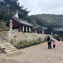 키주파크영종점 | 29개월 아기와 인천 영종도 키즈카페 키주파크 영종점
