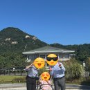 적성전통시장 버스정류장(1) | 서울시티투어버스 전통문화코스 시간표 현장구매 매표소위치 가격 탑승 후기