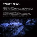 아르떼뮤지엄 부산 영도 개관 사전 예매 최대 50%할인 일정 주차장 작품
