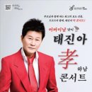 효콘서트 이미지