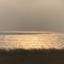 흰고래 숨비 이미지