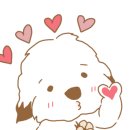 꼬똥켄넬 이미지