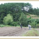 단지농장 이미지